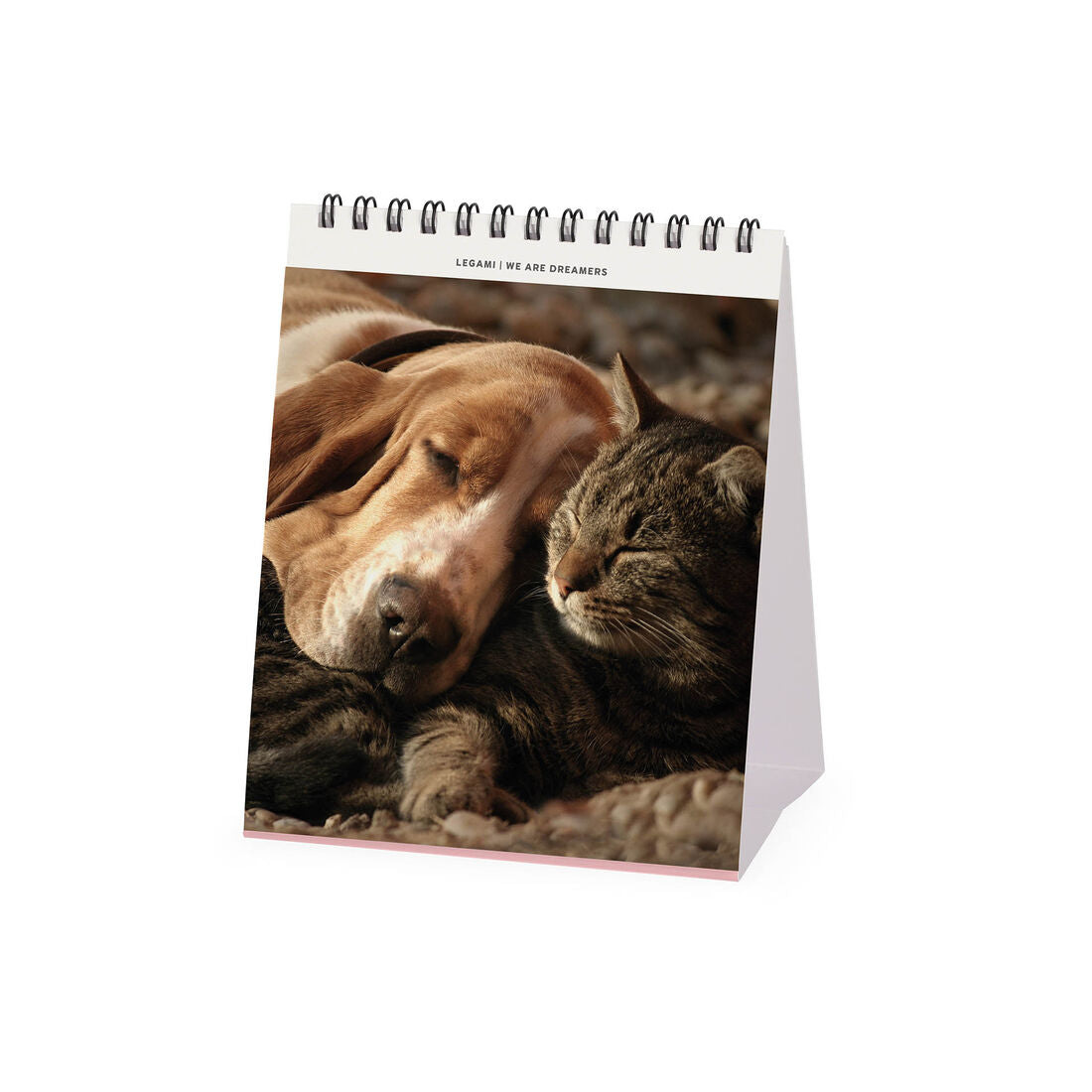 Legami calendario da tavolo Best Friends 2027, foto 2
