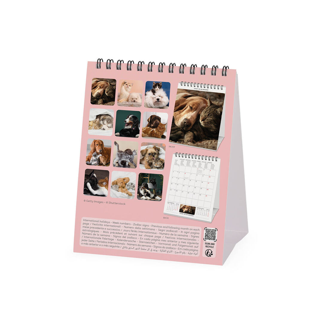 Legami calendario da tavolo Best Friends 2027, foto 4